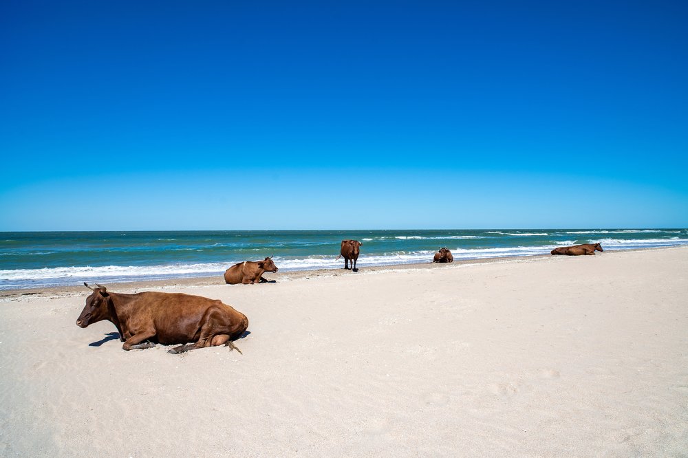 Photograph by Дмитрий Влизько