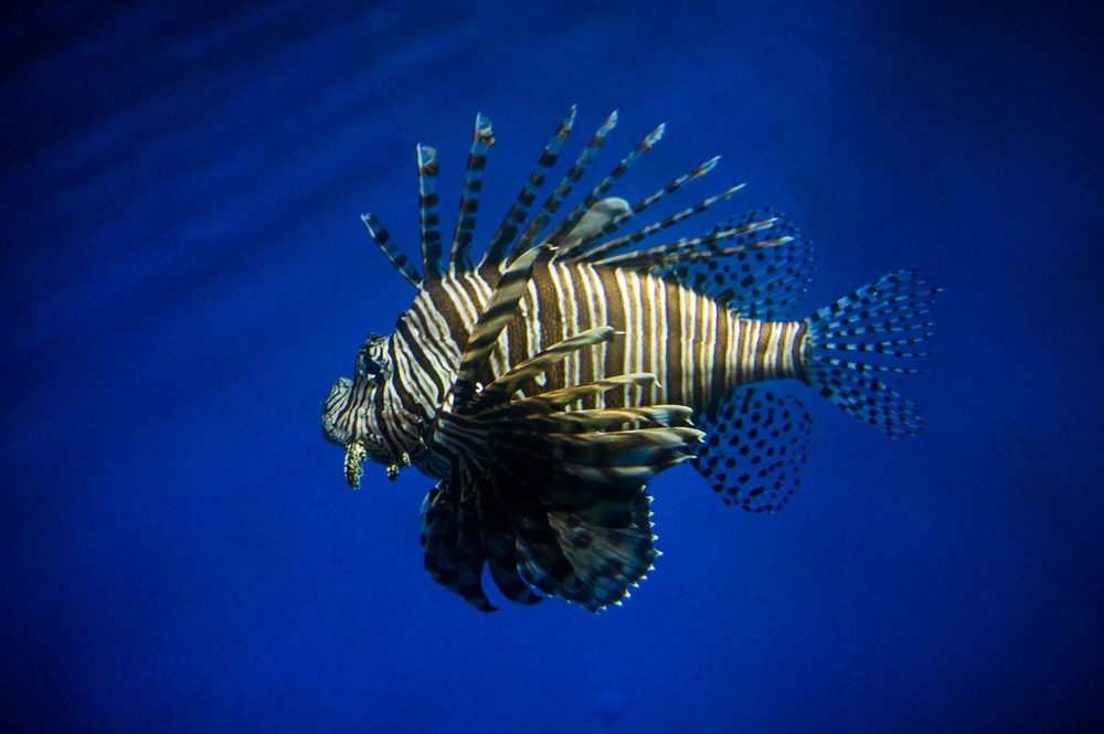 Photograph by Дмитрий Влизько