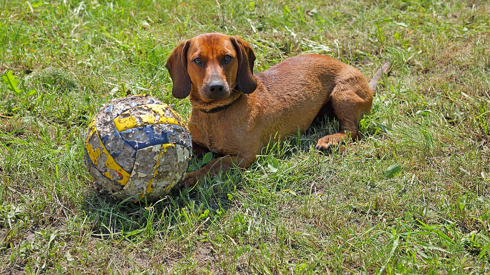 Начало восьмого тайма