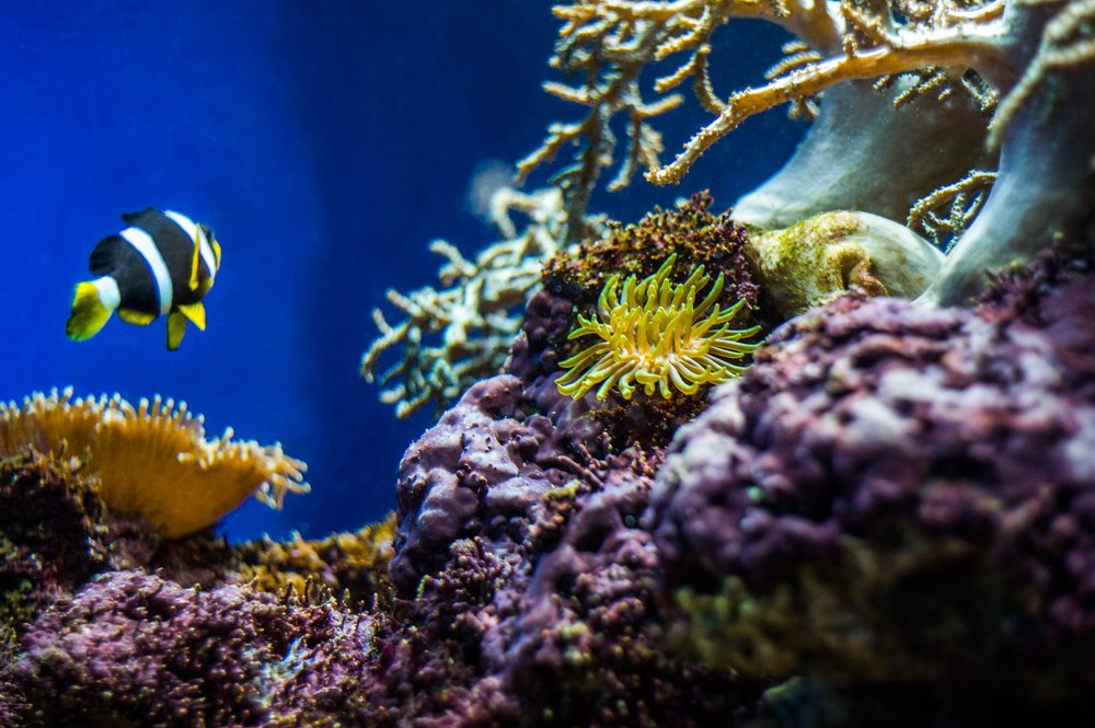 Photograph by Дмитрий Влизько