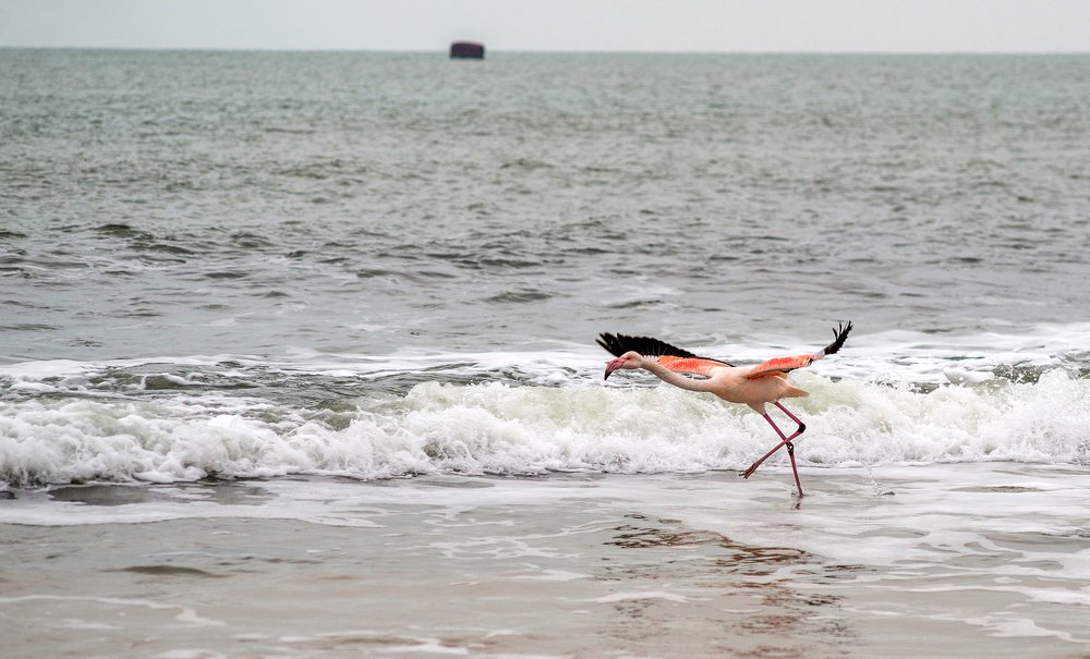 Photograph by Вадим Стрельцов