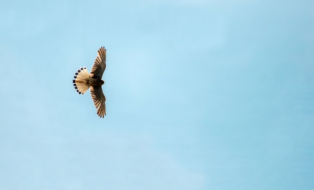 Photograph by Вадим Стрельцов