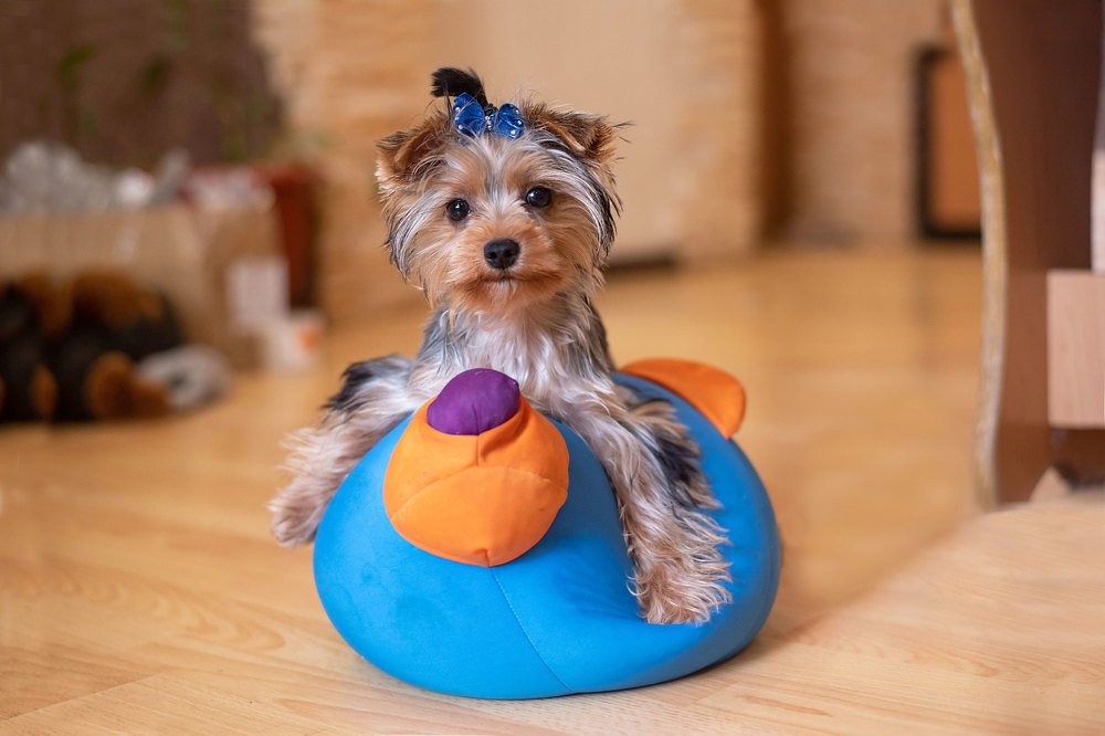 Photograph by Александра Невесёлая