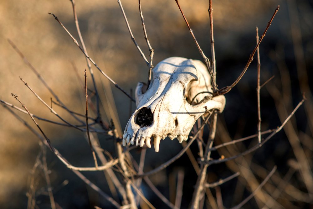 Photograph by Вадим Стрельцов