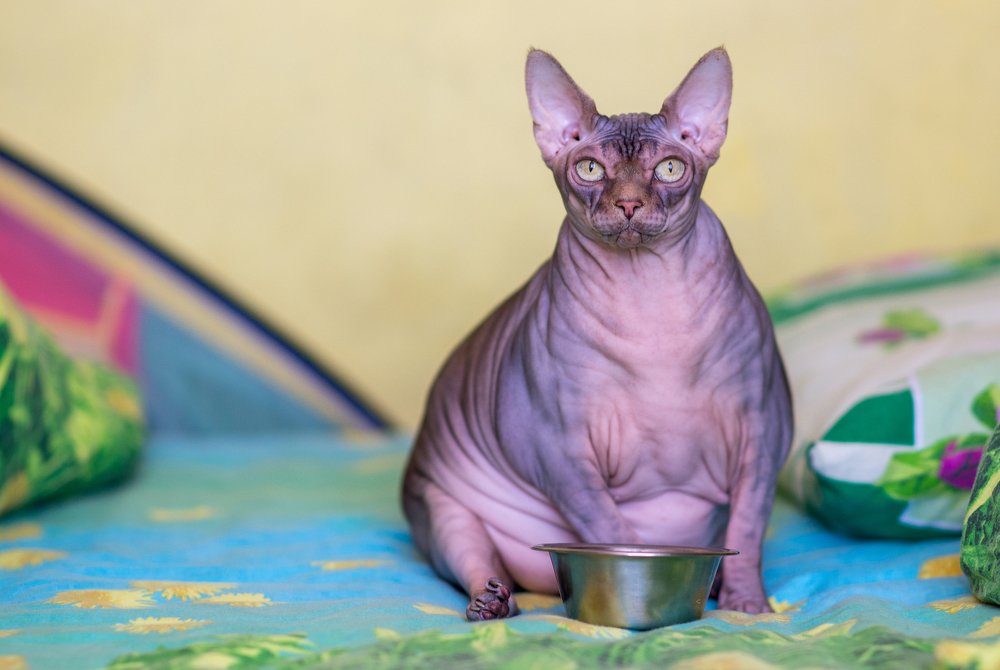 Photograph by Вадим Стрельцов