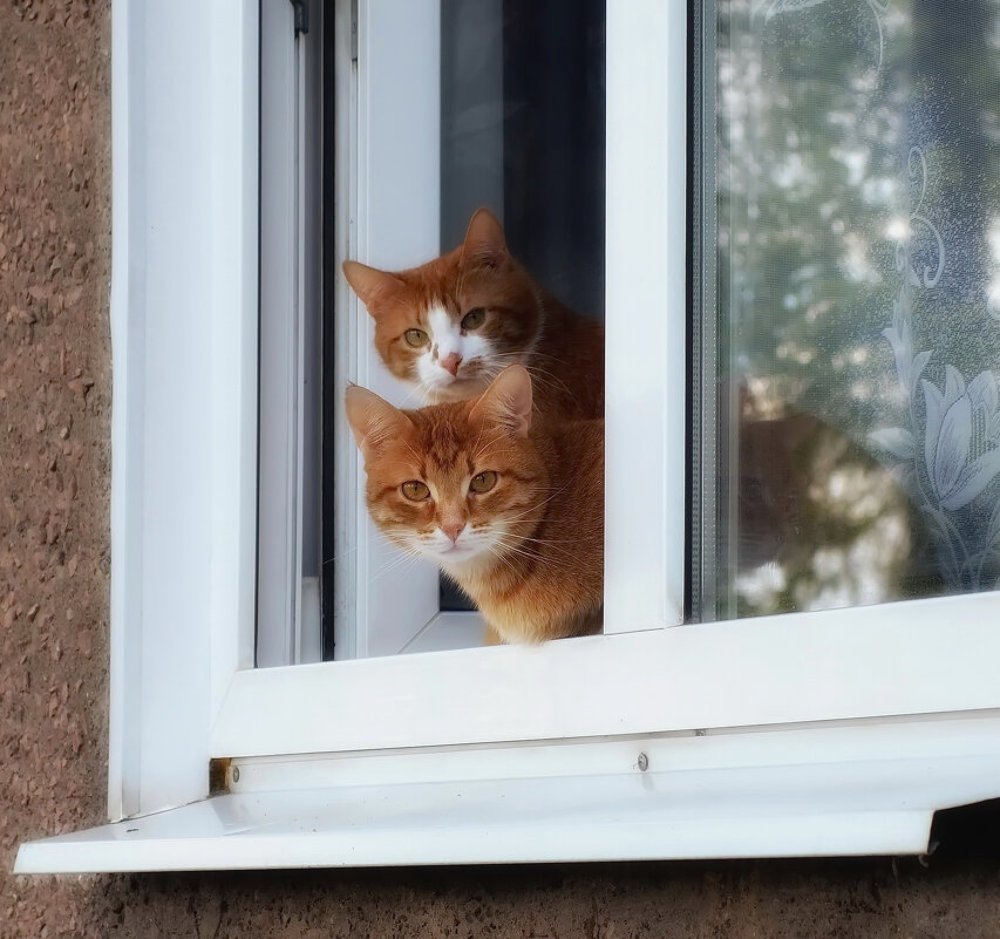 Photograph by Сергей Клапишевский