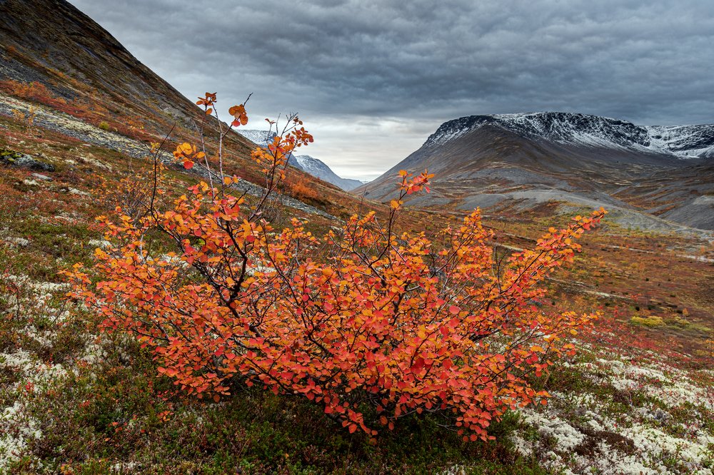 Осень в Хибинах