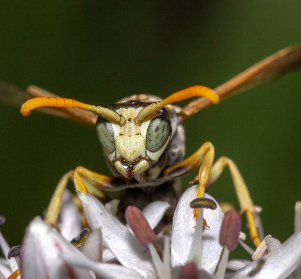 Photograph by Александр Шлюпиков