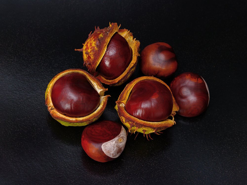 Photograph by Владимир Богданов