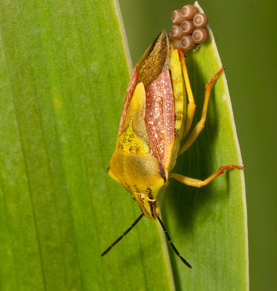 Photograph by Александр Шлюпиков