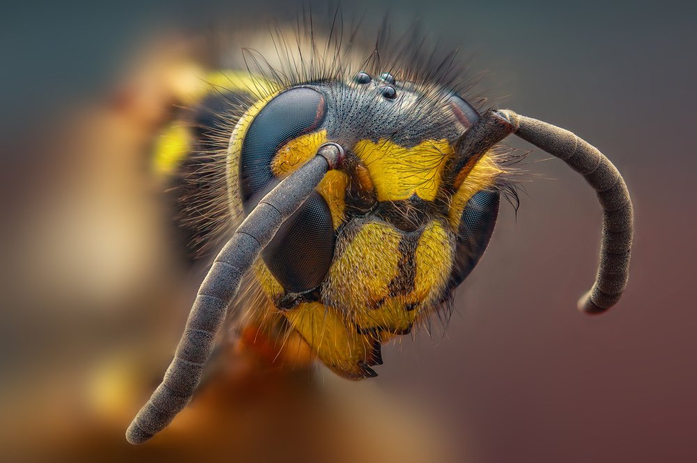 Photograph by Иван Радьков