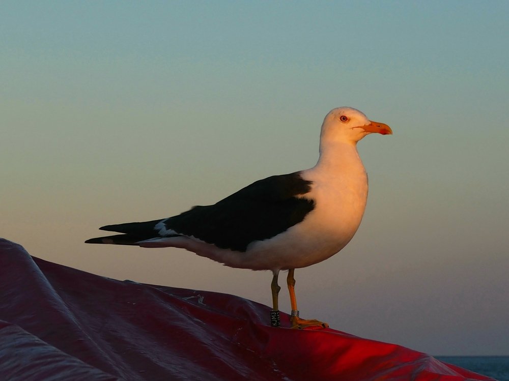 Photograph by Евгений Яковлев