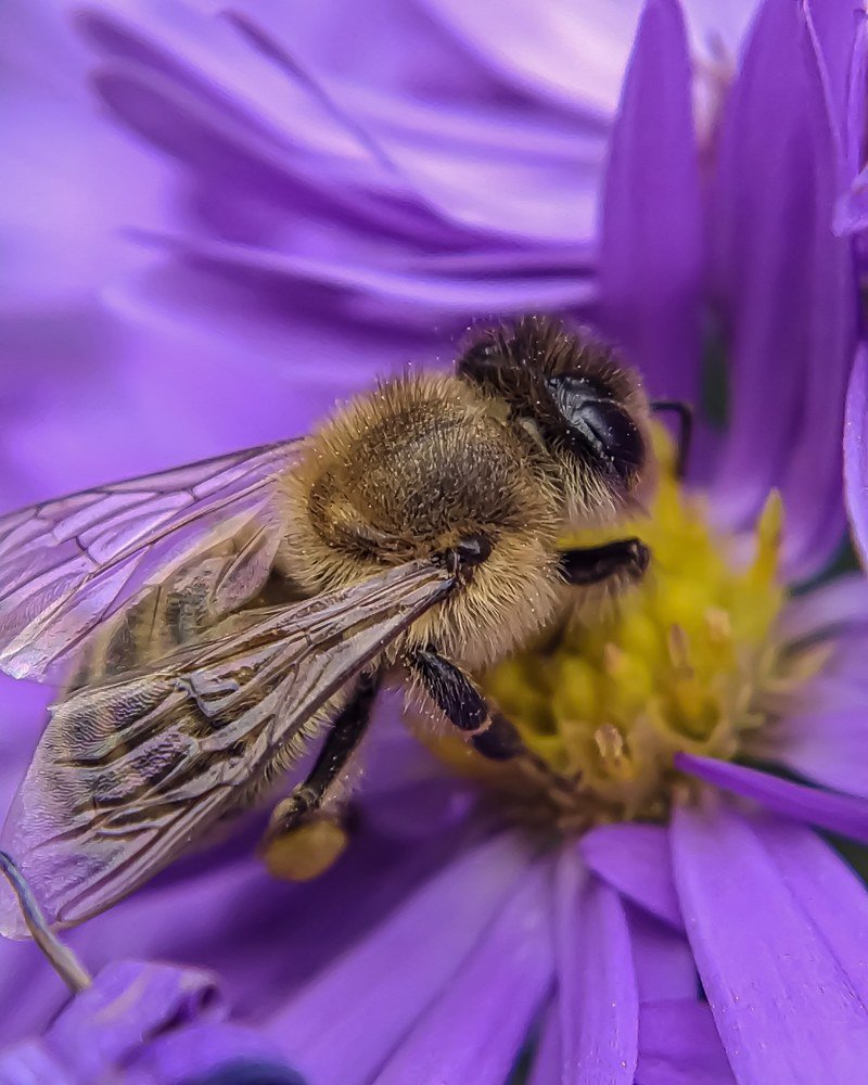 Фотография автора Наталья Алексеева