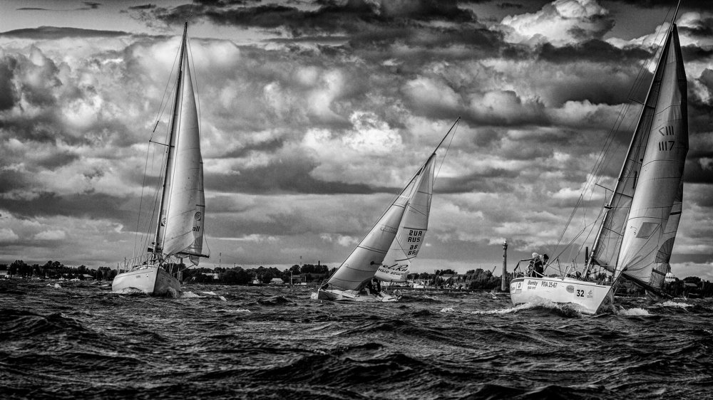 regatta