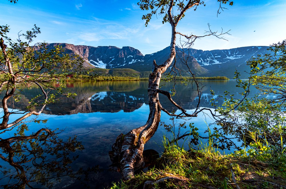 Photograph by Владимир Новиков