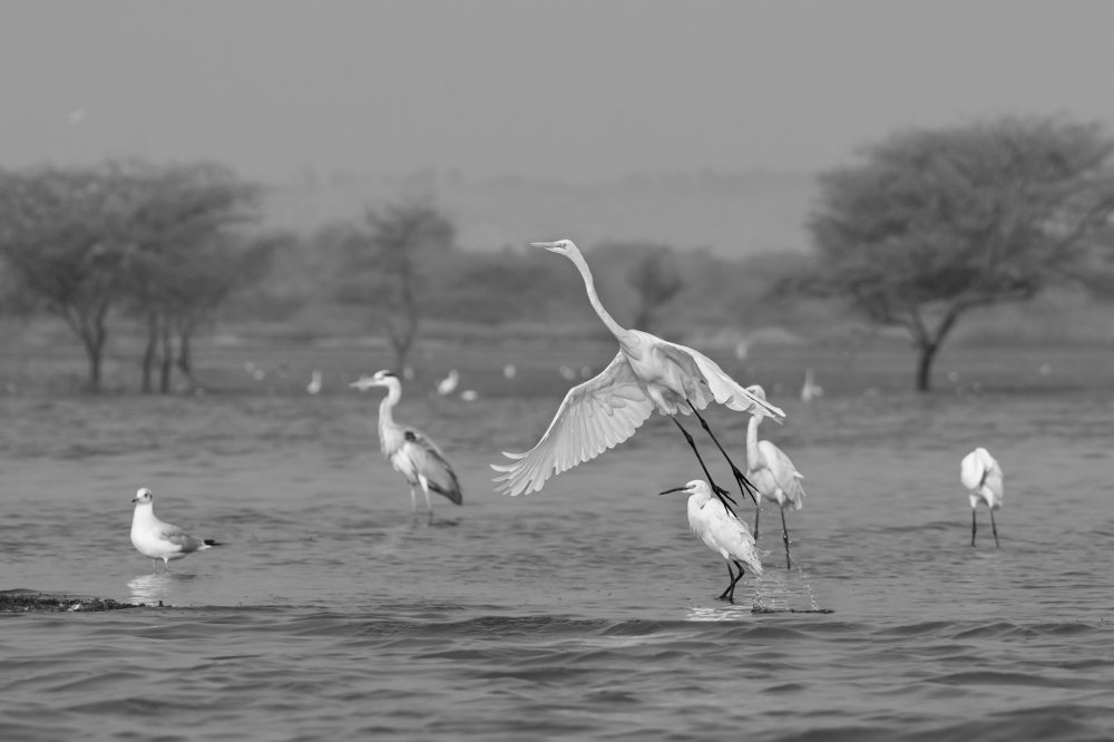 Photograph by Suman Paul