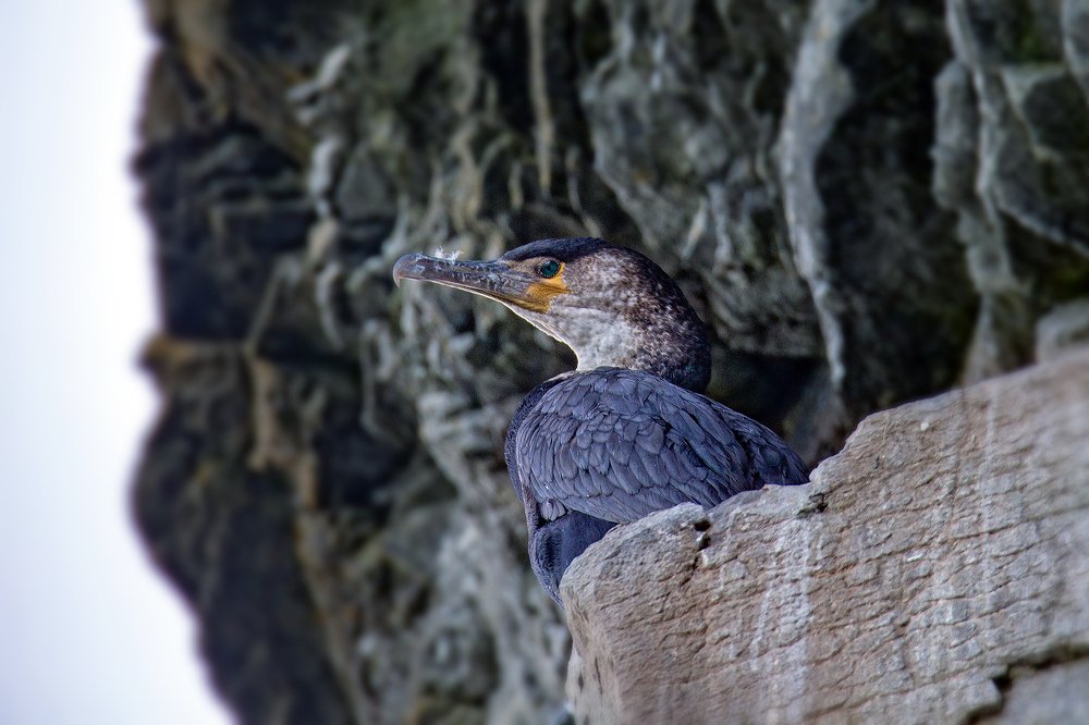 Photograph by Иван Радьков