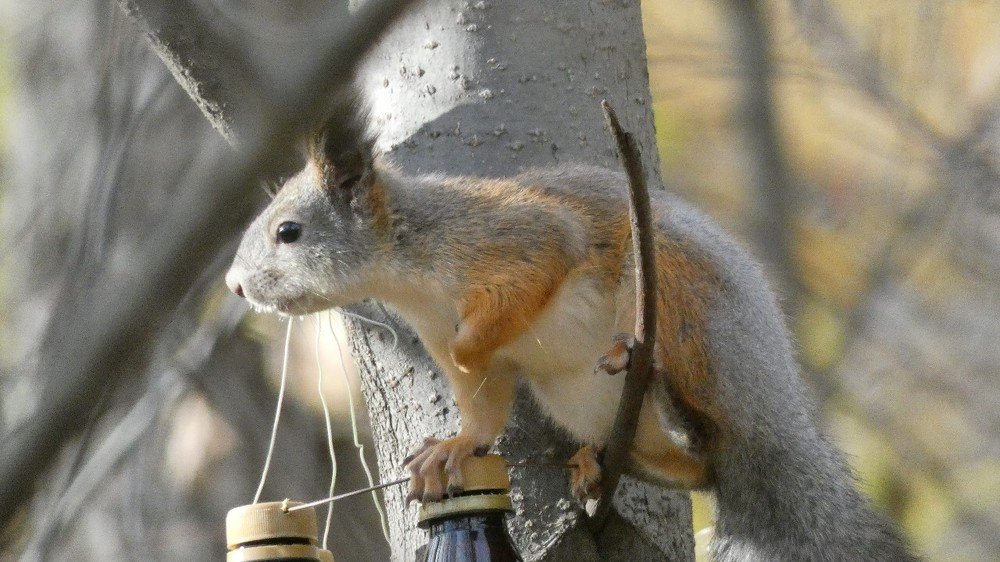 Photograph by Вячеслав Приходько