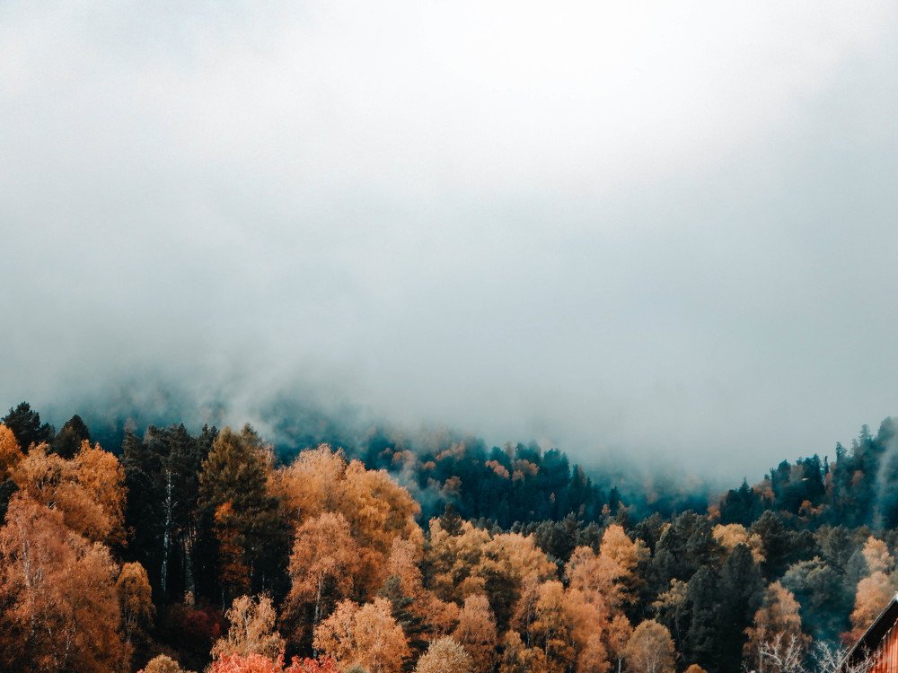 Photograph by Терентьев Георгий