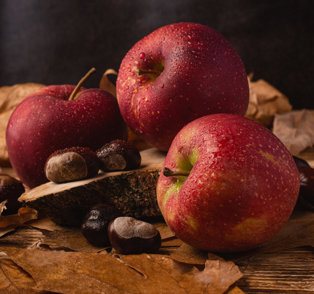 Photograph by Diana Potapenko