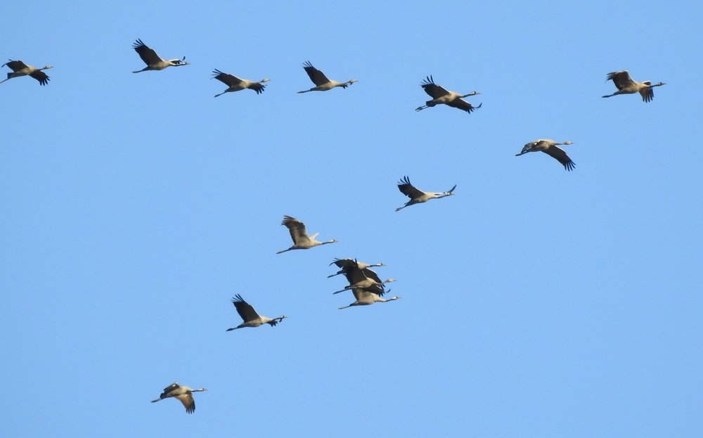 Photograph by INESA POROHOVA