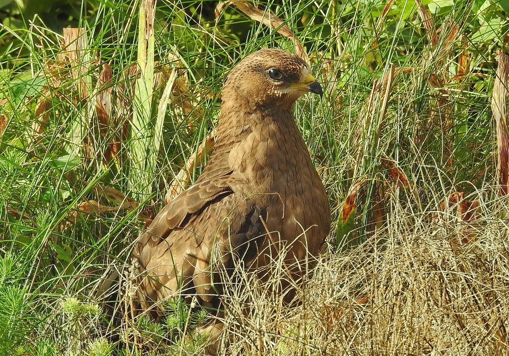 Photograph by INESA POROHOVA