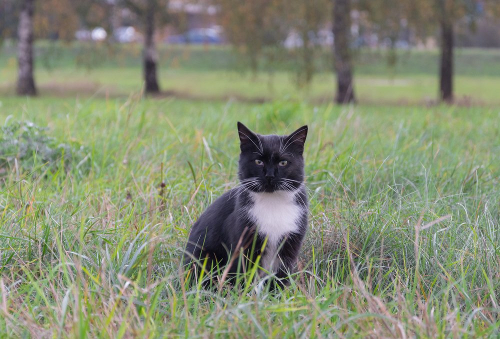 Photograph by Алексей Крукович