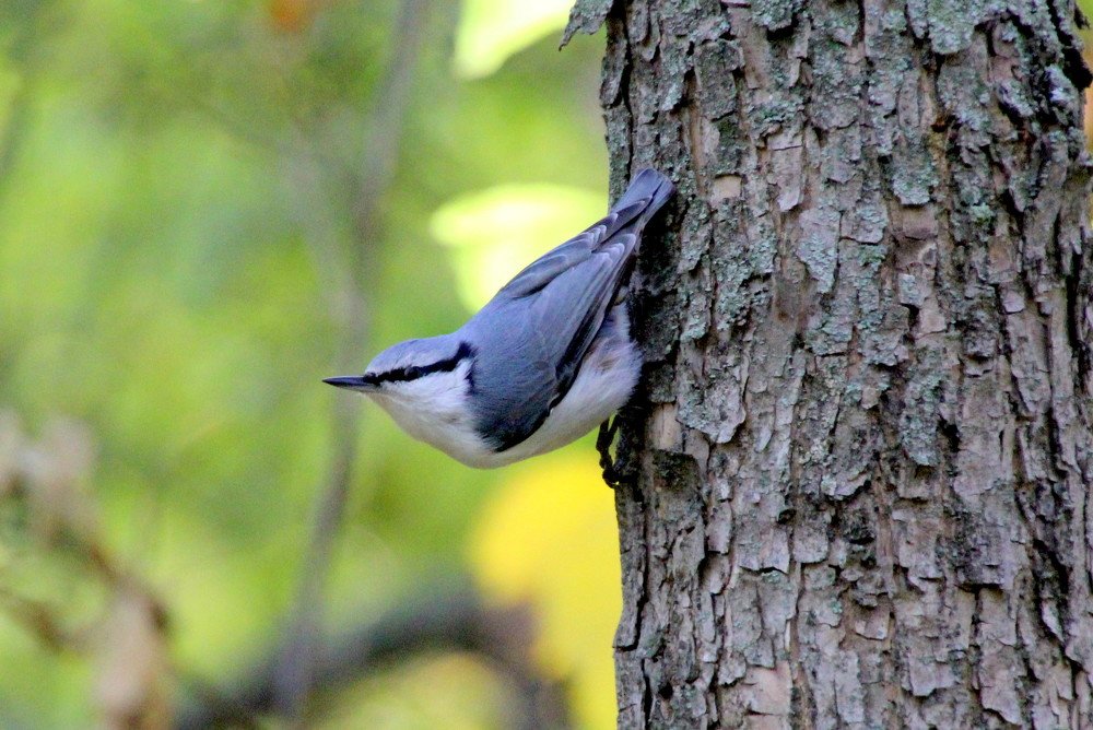 Photograph by Жанна Валиева
