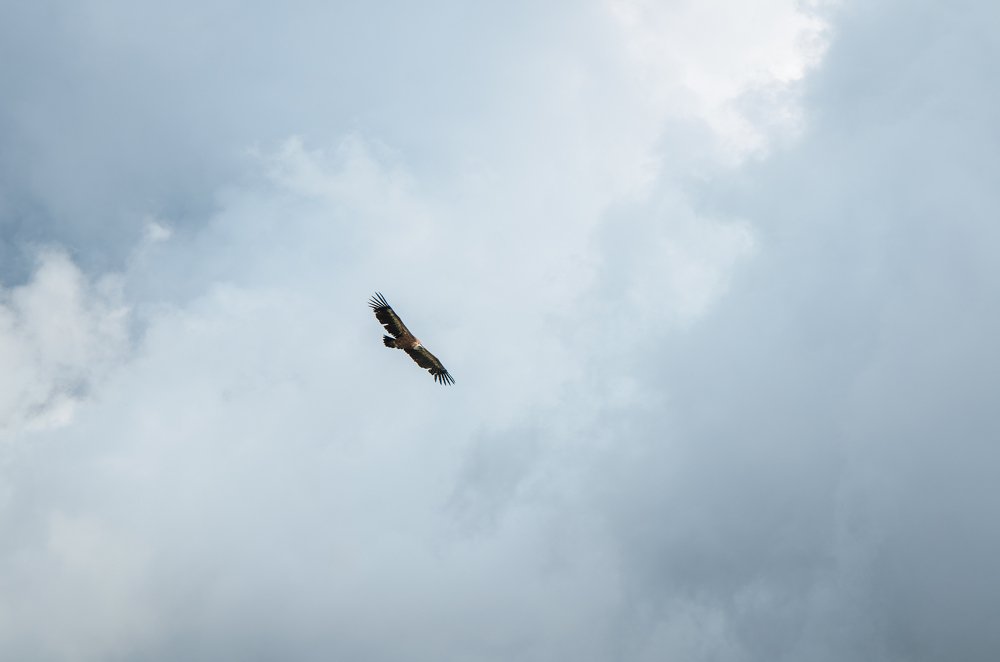 Photograph by Светлана Кондратьева