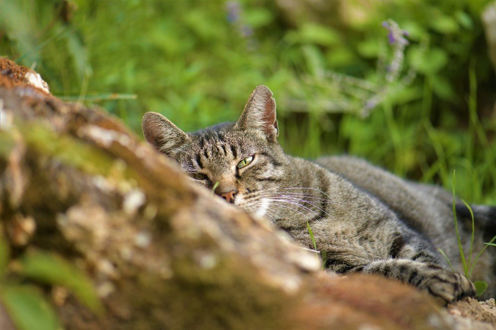 Photograph by stefanini alexis