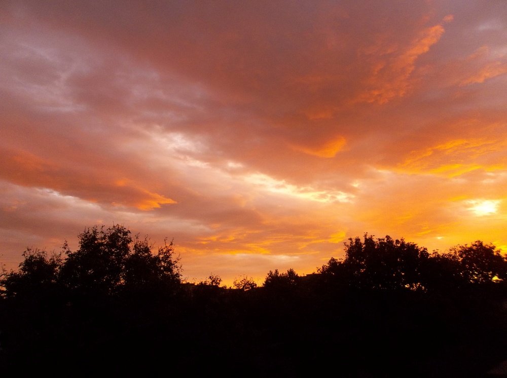 Photograph by Георги Колев