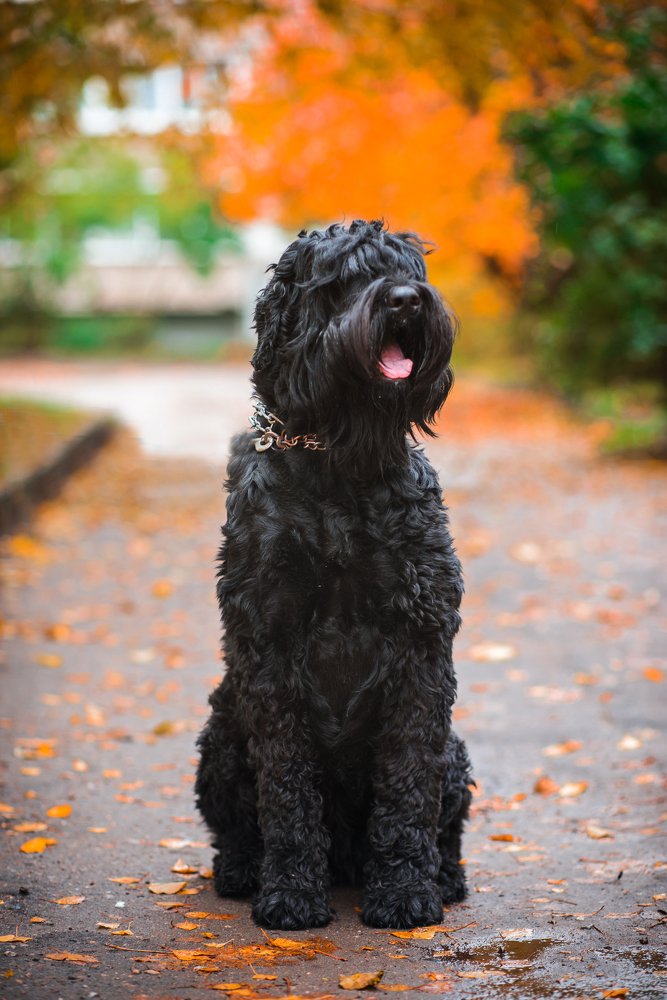 Photograph by Светлана Кондратьева