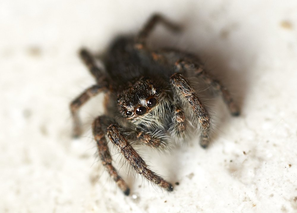 Photograph by Igor Serdyukov