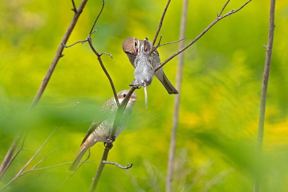 Photograph by Viktor Makarov
