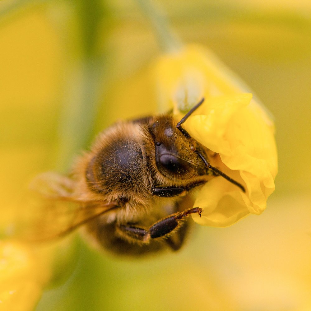 Photograph by Екатерина Топорова