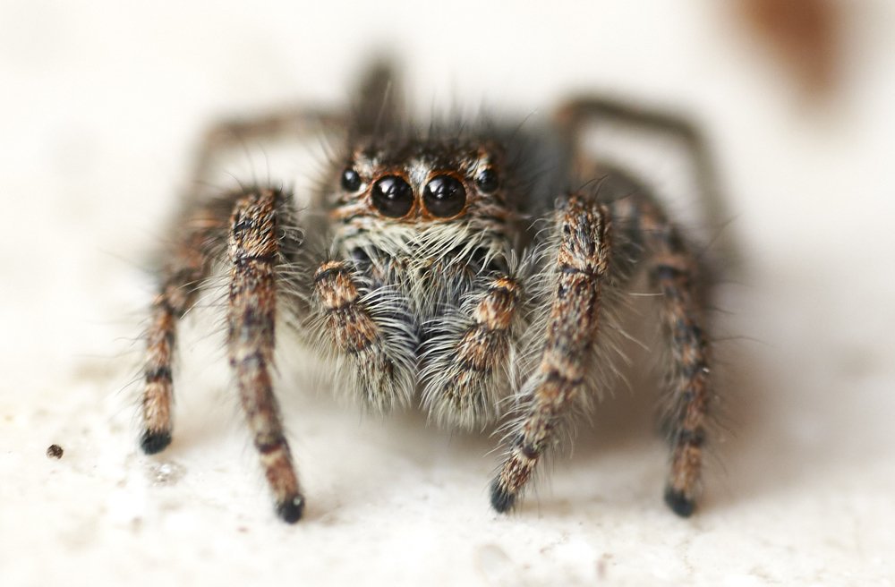 Photograph by Igor Serdyukov