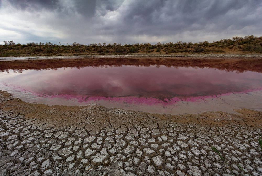 Розовое озеро.