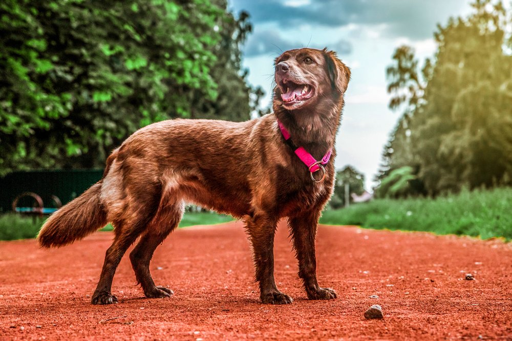 Фотография автора Александр Горовцов
