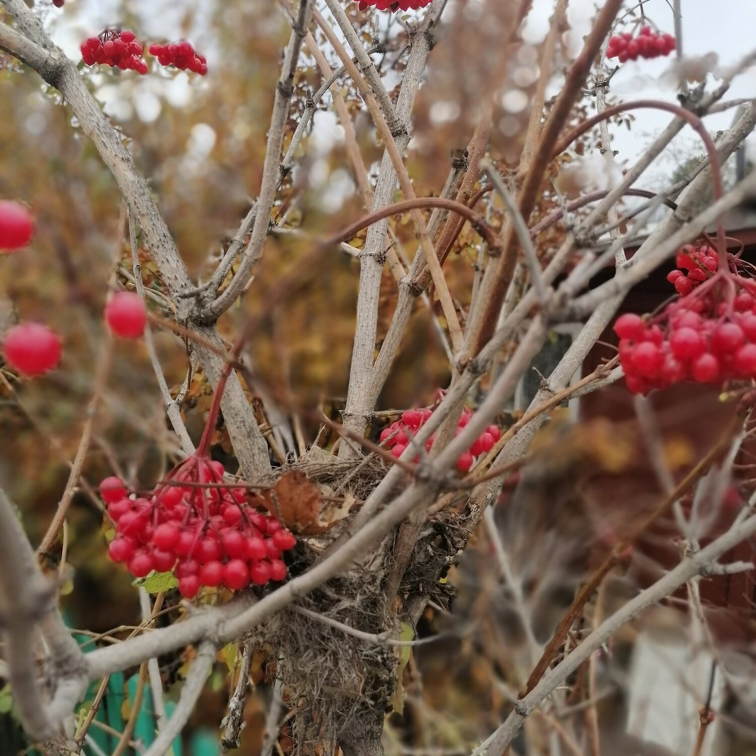Photo #5027823