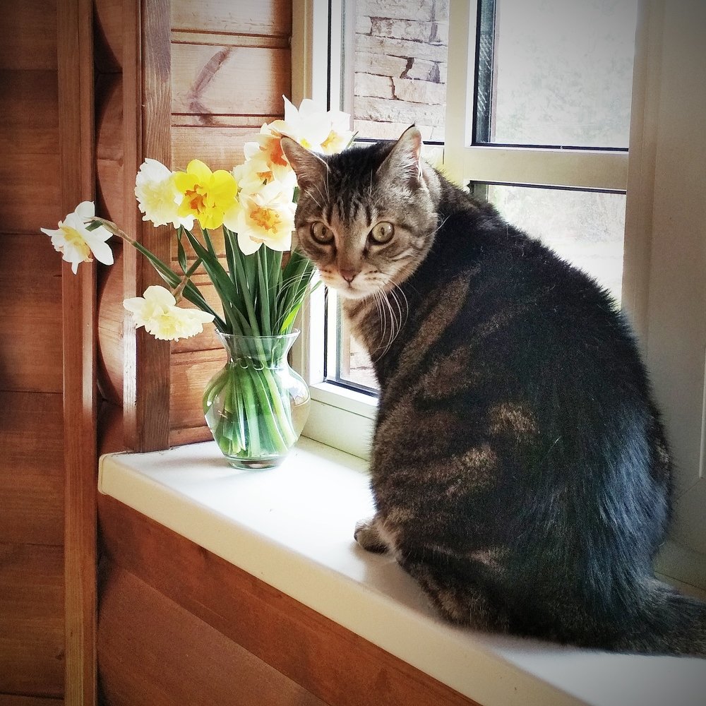 Photograph by Елена Павлова