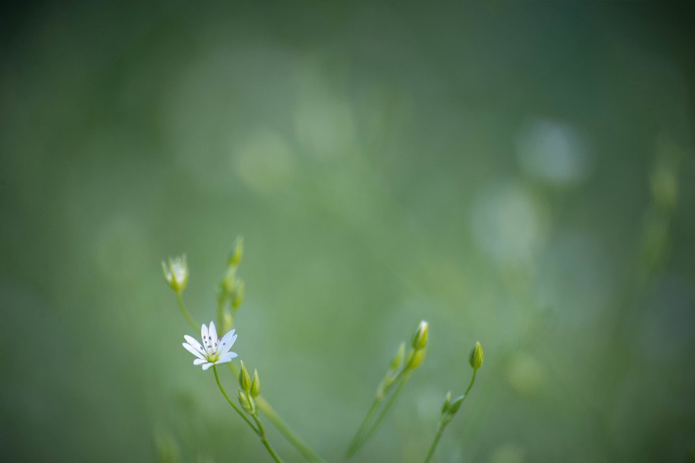 Photograph by Евгений