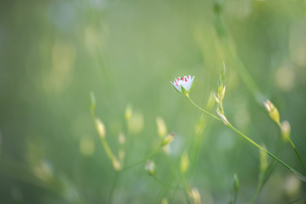 Photograph by Евгений