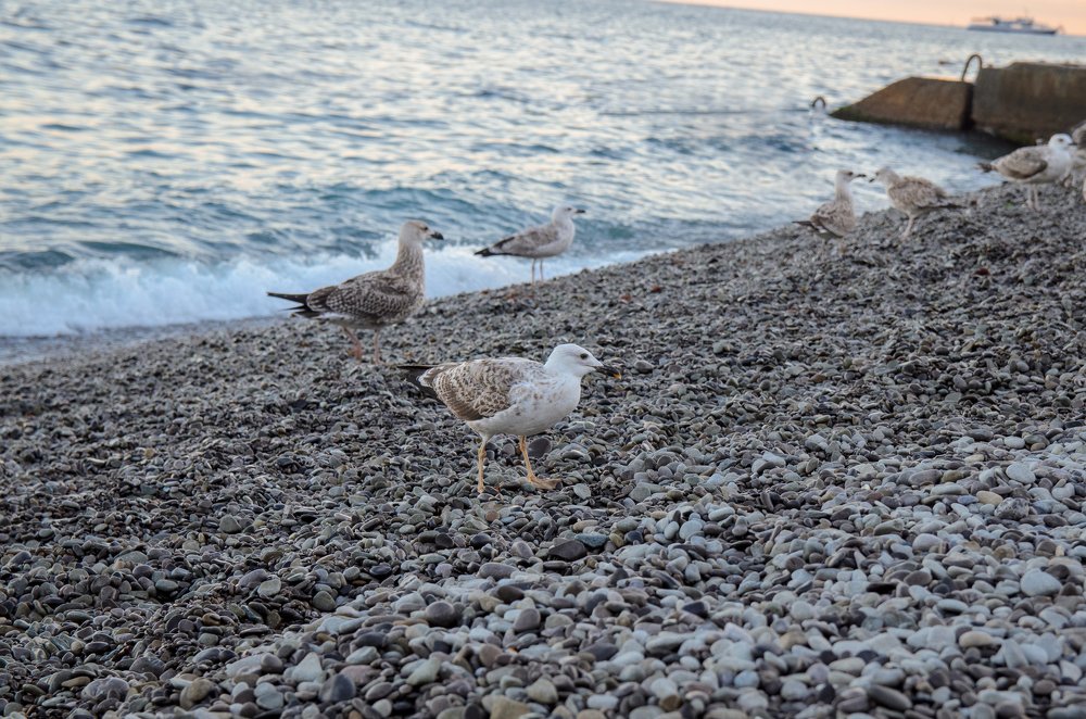 Photograph by Светлана Кондратьева