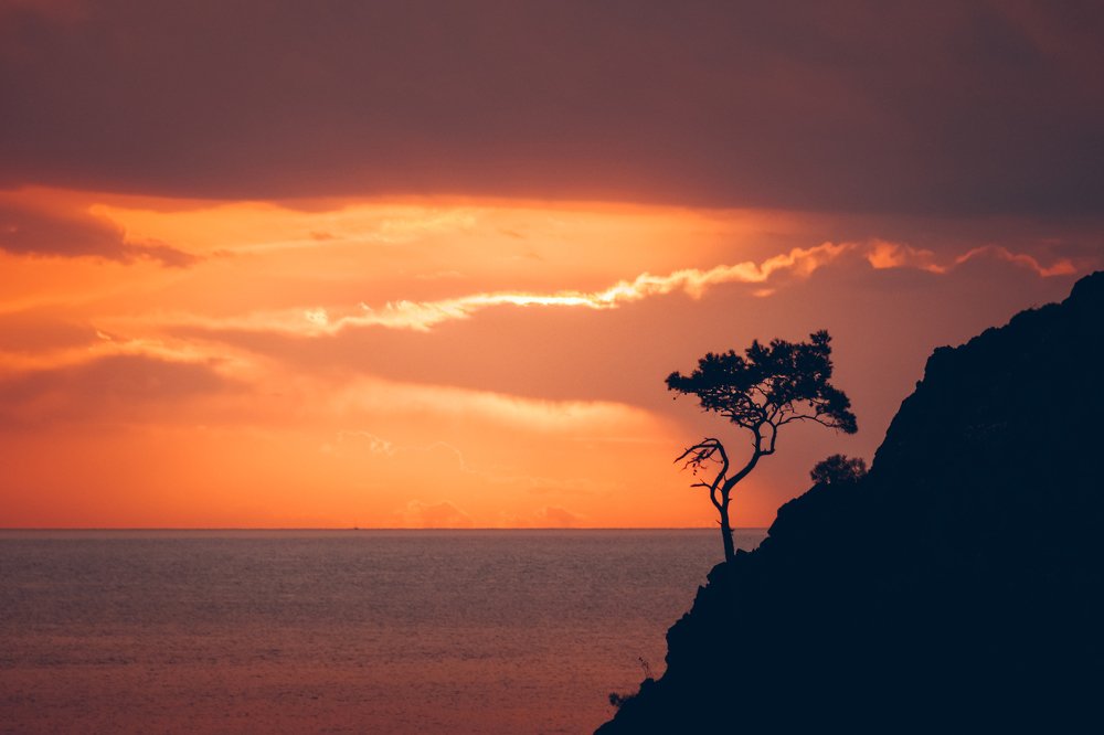 Photograph by Юрий Никитюк