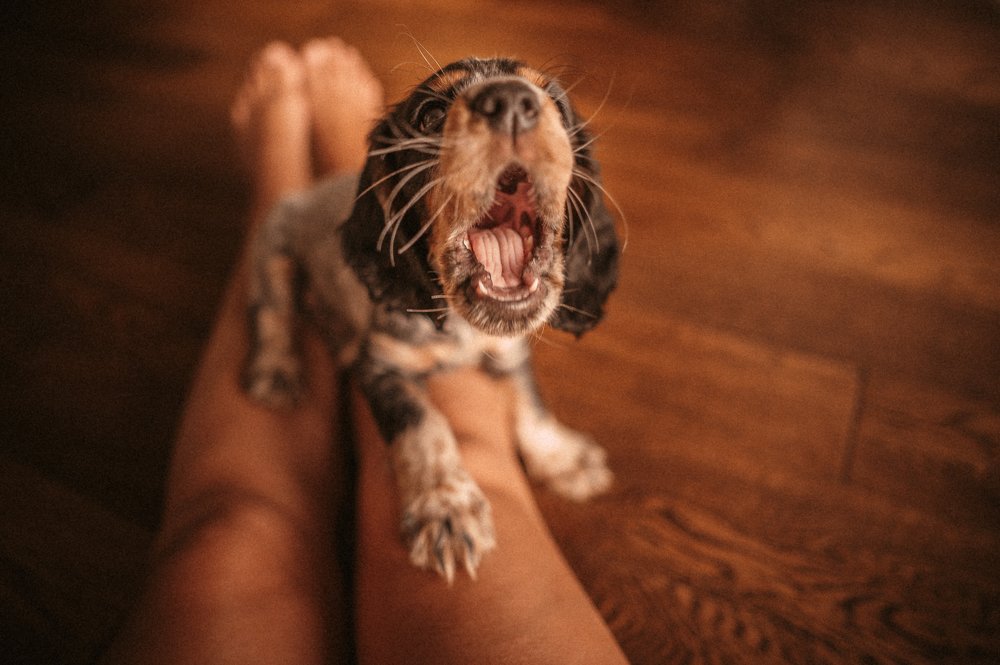 Photograph by Ольга Алейнер