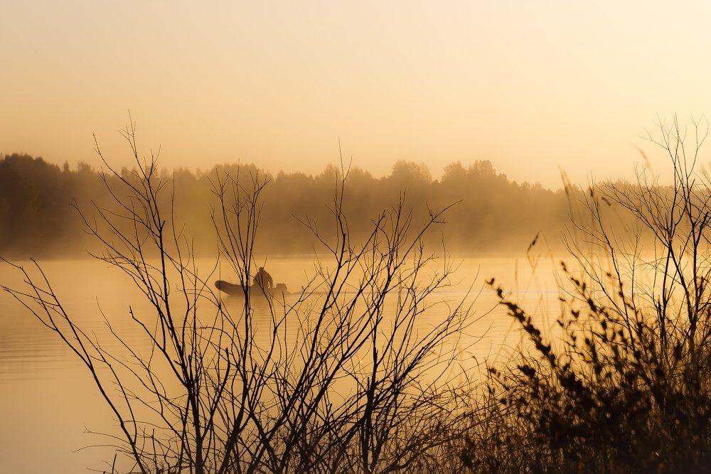 Photograph by Sergey Starostin