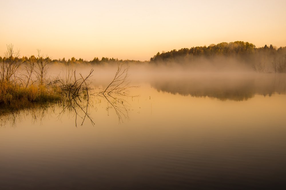 Photograph by Sergey Starostin