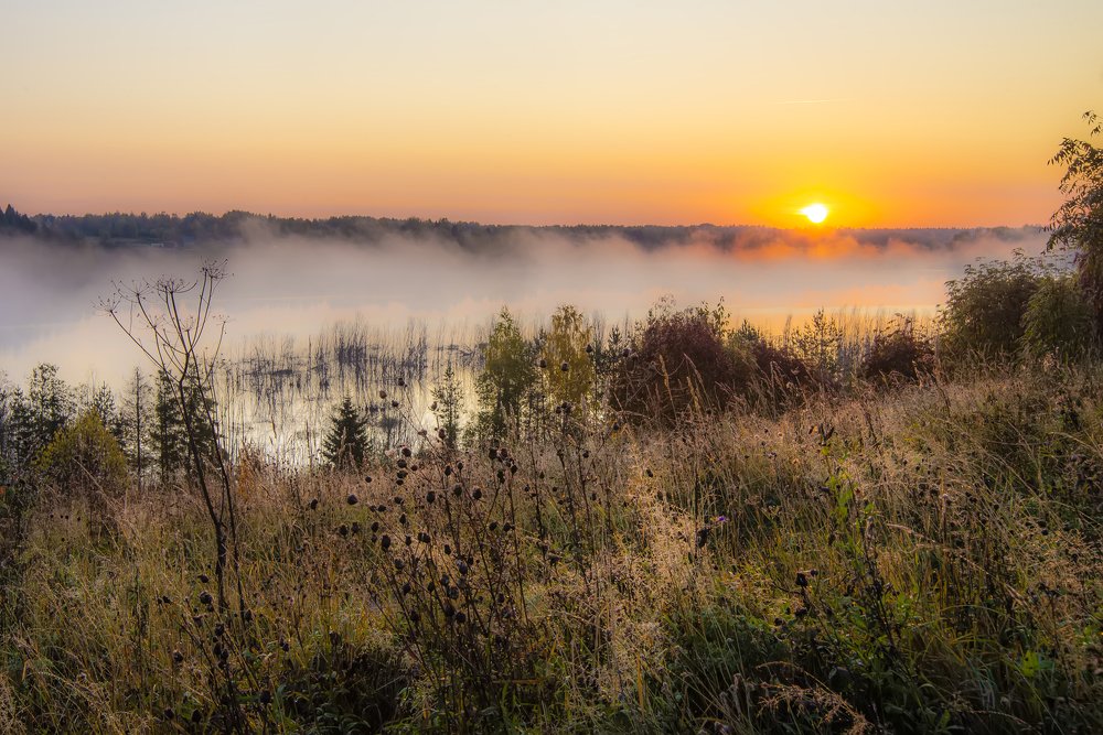 Photograph by Sergey Starostin