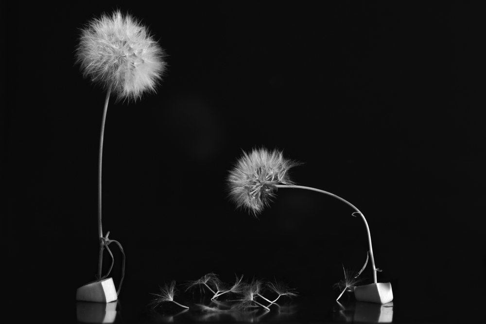 Photograph by Narek Petrosyan