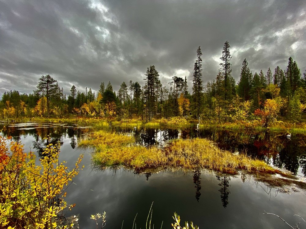 Ловозерские тундры